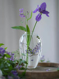 Hand-Painted Transparent Glass Vase Collection
